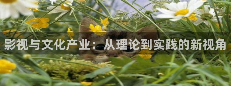 全能影视在线看：影视与文化产业：从理论到实践的新视角