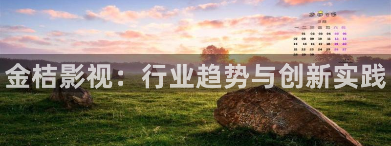 狂飙全能影视：金桔影视：行业趋势与创新实践