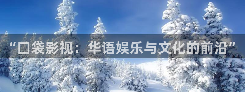 全能影视免费电影：“囗袋影视：华语娱乐与文化的前沿”