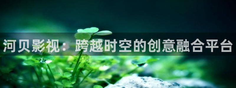 全能影视在线免费观看：河贝影视：跨越时空的创意融合平台
