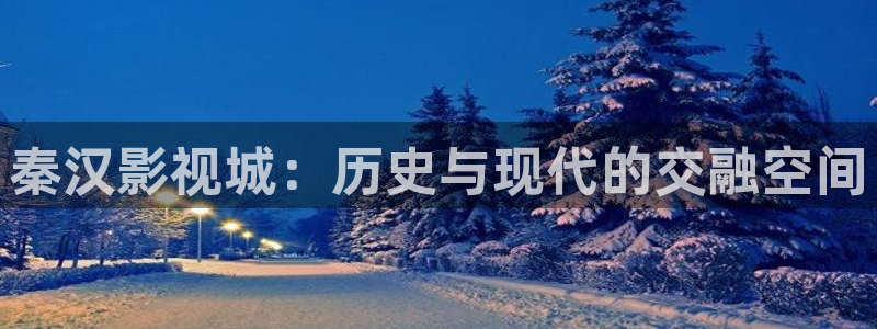 全能影视大全免费观看电视剧：秦汉影视城：历史与现代的交融空间