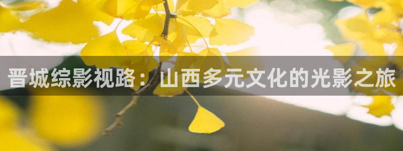 全能电影大全：晋城综影视路：山西多元文化的光影之旅