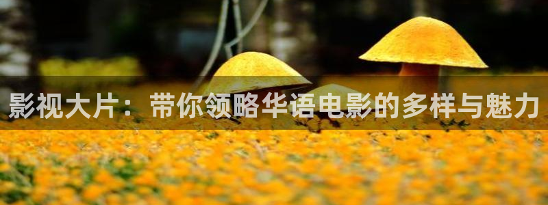 全能视频在线：影视大片：带你领略华语电影的多样与魅力