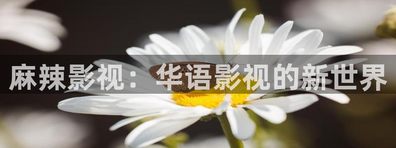 全能影视官网：麻辣影视：华语影视的新世界