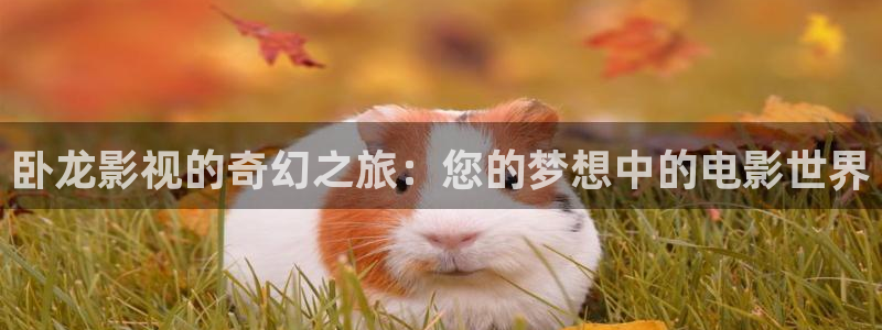 全能影视在线：卧龙影视的奇幻之旅：您的梦想中的电影世界