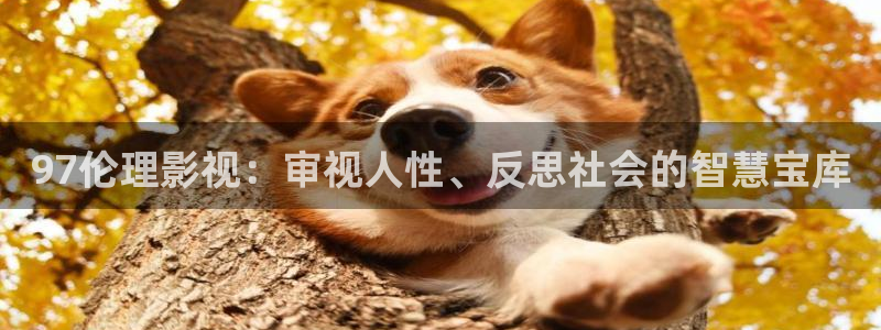 全能影视视：97伦理影视：审视人性、反思社会的智慧宝库