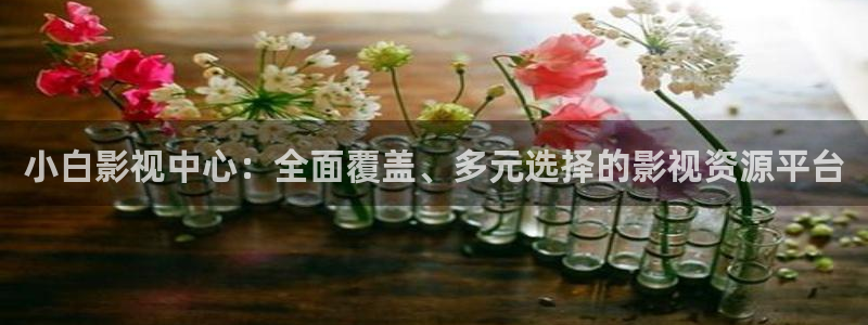 全能影视在线观看免费完整版：小白影视中心：全面覆盖、多元选择的影视资源平台