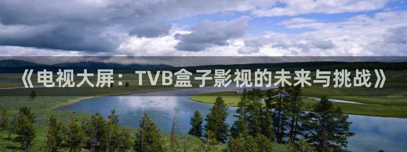 全能影院：《电视大屏：TVB盒子影视的未来与挑战》