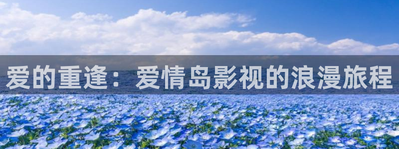 全能影视午夜网：爱的重逢：爱情岛影视的浪漫旅程